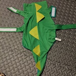 Medium sized dragon dog costume